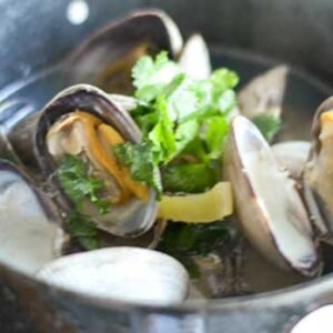 clam soup