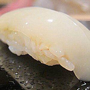 squid