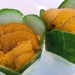 sea urchin