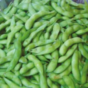 edamame platter