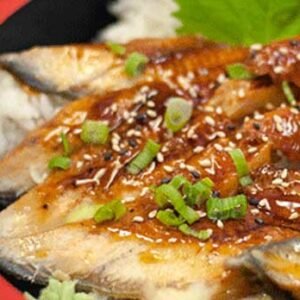 unagi don lunch